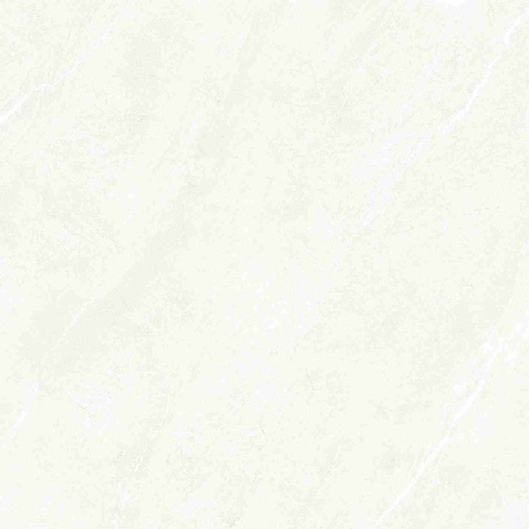 Dhara White Matte 48 x 48